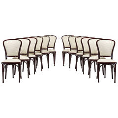 Dining Chairs Set of Twelve by Gustav Siegel for Thonet