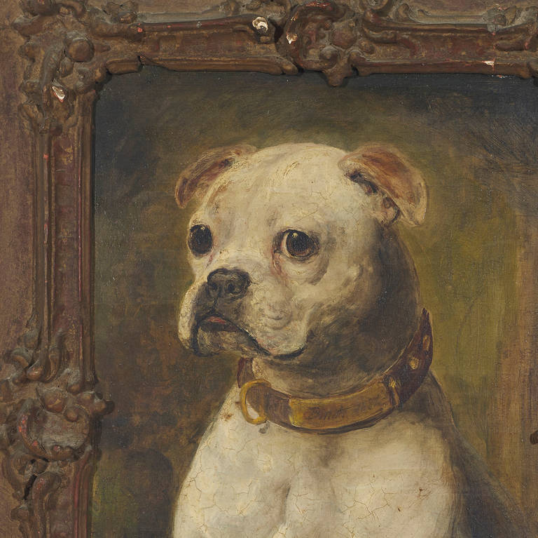 Italian White Boxer Painting from 19th Century For Sale