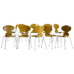 Ant chairs, set of ten by Arne Jacobsen