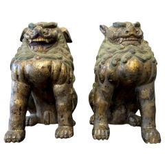 Pair of Large Japanese dogs