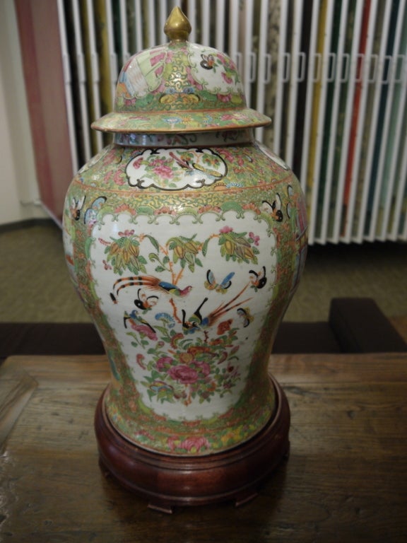 19th Century Pair of Antique Chinese Temple Jars For Sale