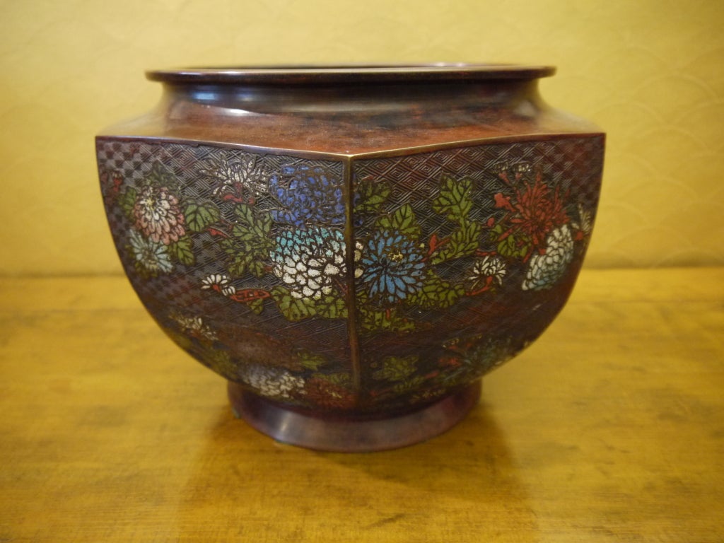 Chinese cloisonne jardiniere
