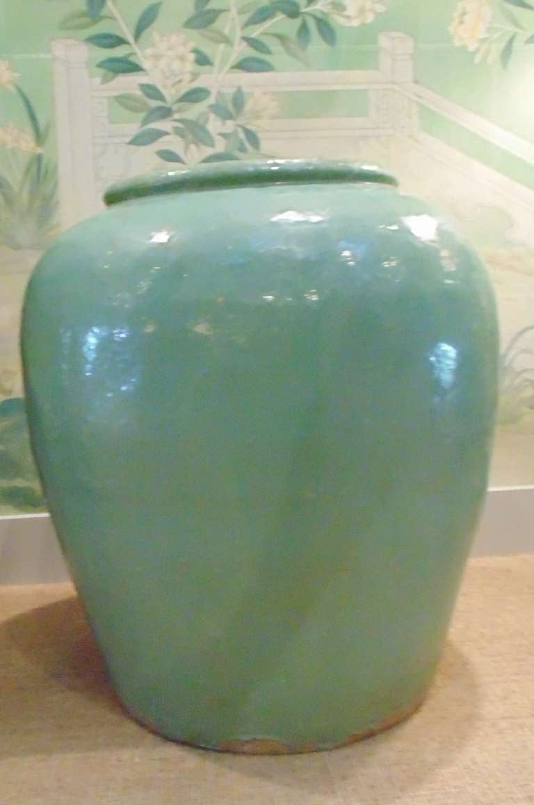 A huge Chinese celadon glazed jar, of slightly tapered form, with raised lip.
