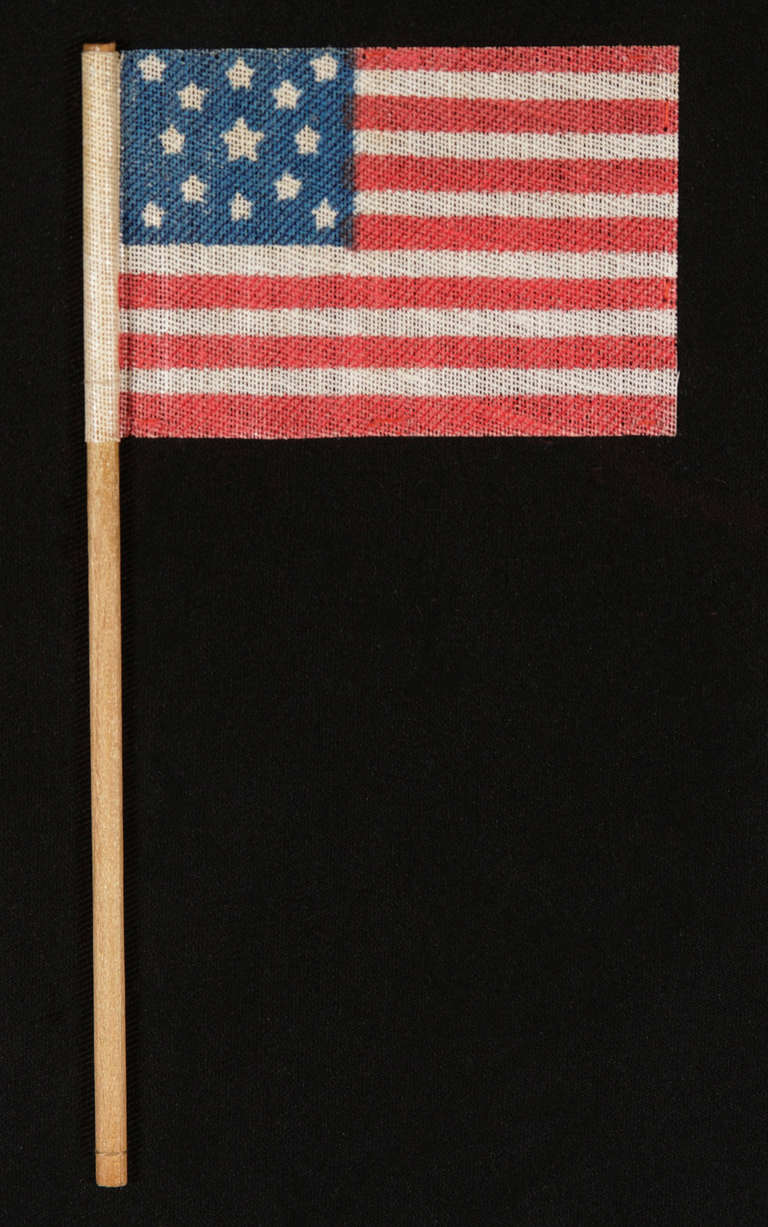13 Star Medallion Pattern 1876 Centennial Celebration Flag