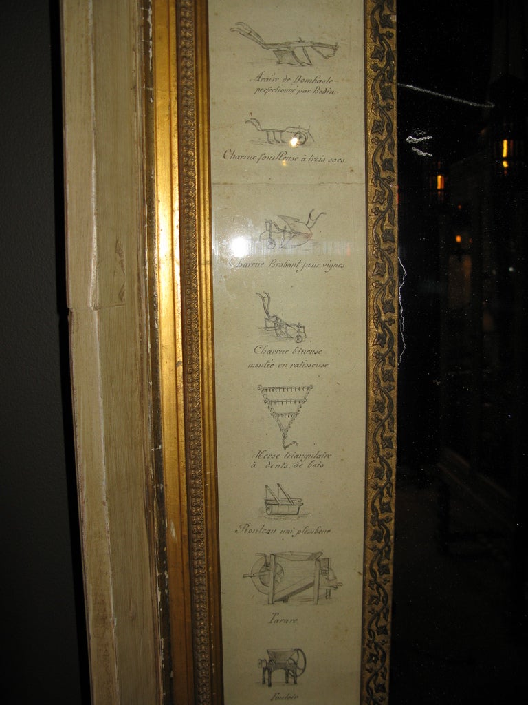 Concours Agricole Departmental Mirror with wood frame and hand-drawings of agriculture instruments and domestic animals on borders.