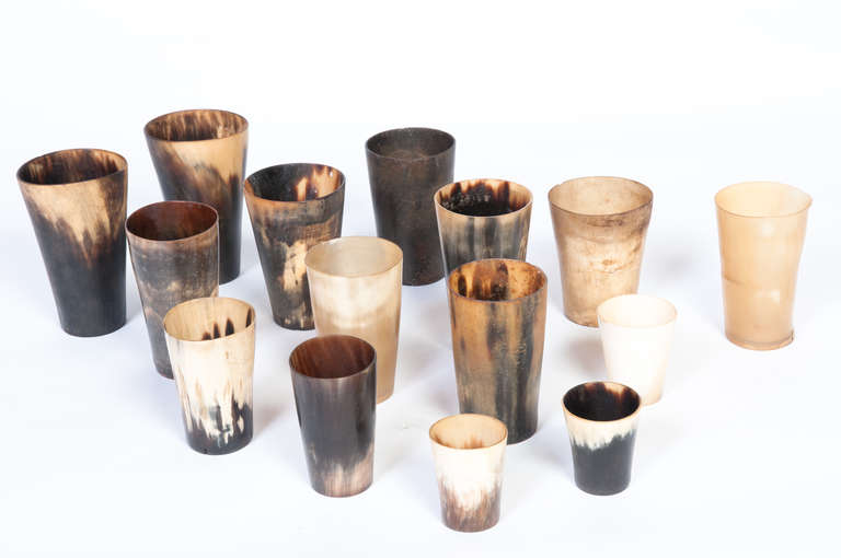 19th C. Horn Beakers (Set of 15) all of various sizes and coloration.