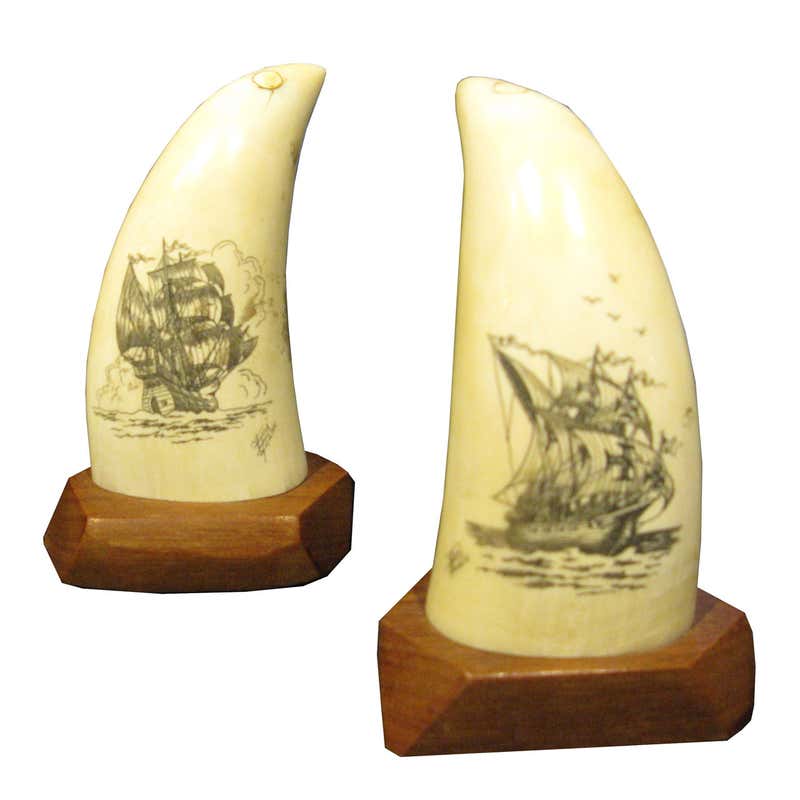 Scrimshaws 20 For Sale on 1stDibs scrimshaw for sale uk, antique