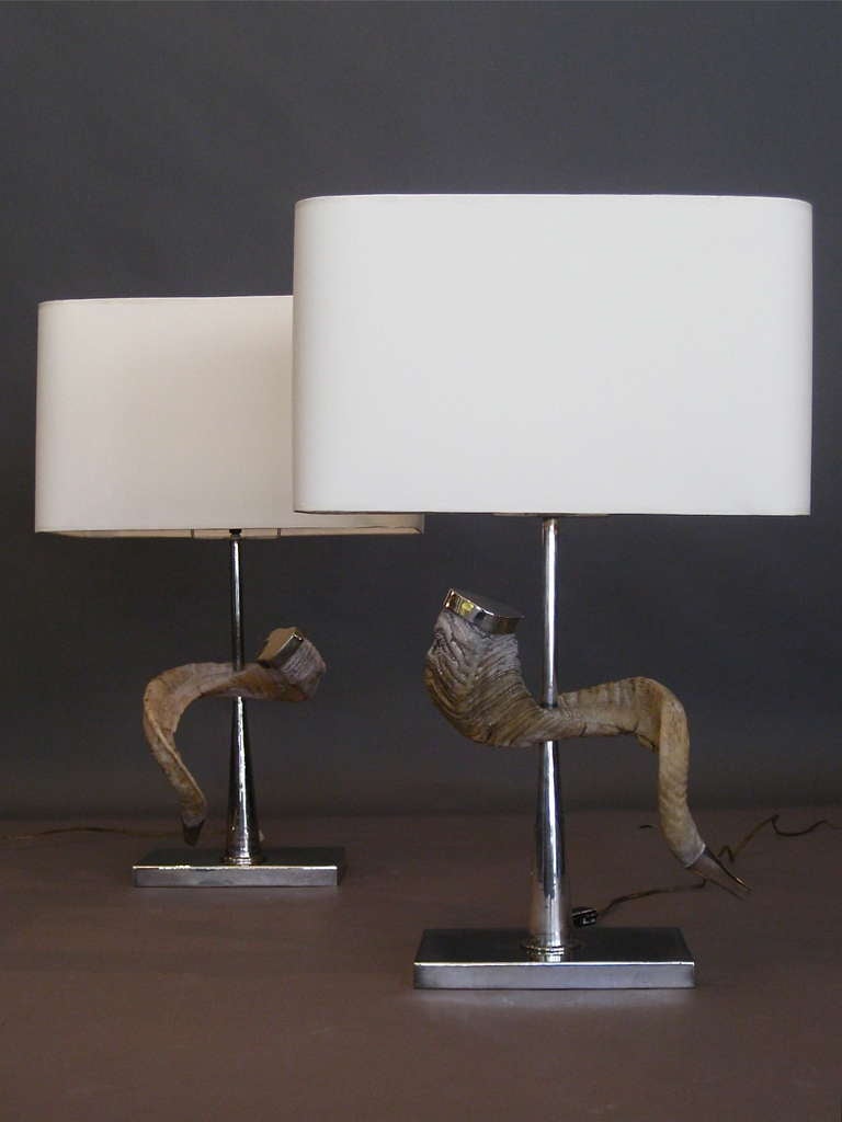 Pair of rams horn table lamps with silver plate caps and silver plate bases c.1970s. Height of bases alone is 17