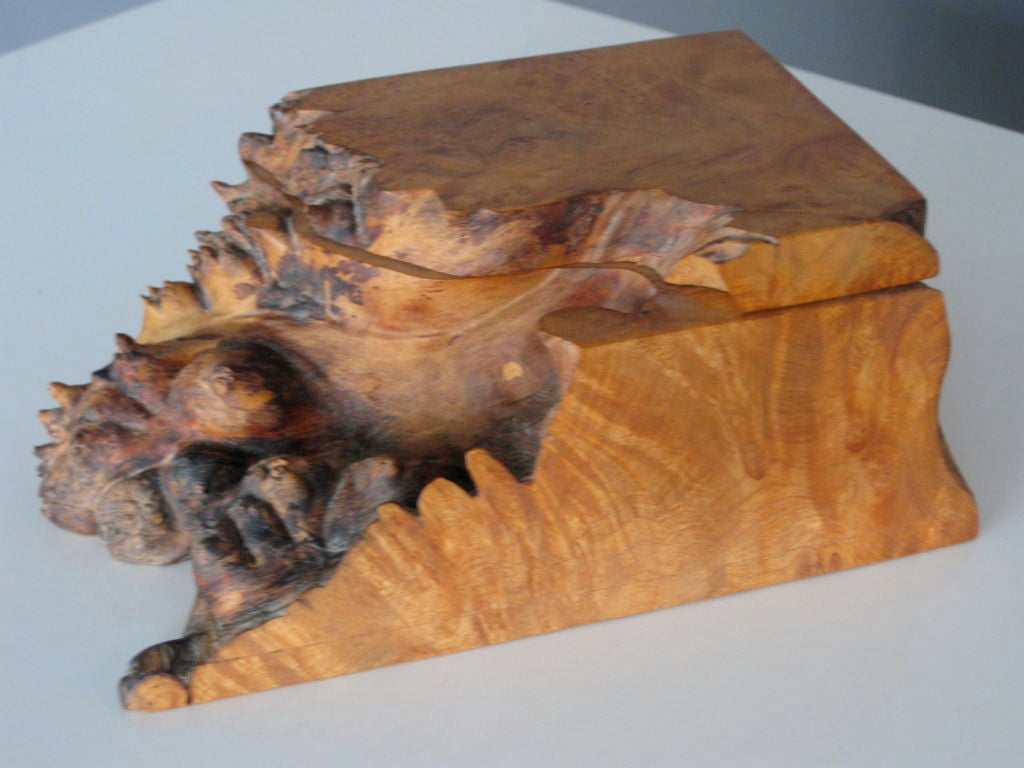 Exceptional Michael Elkan American Studio Craft Burl Wood Box 3
