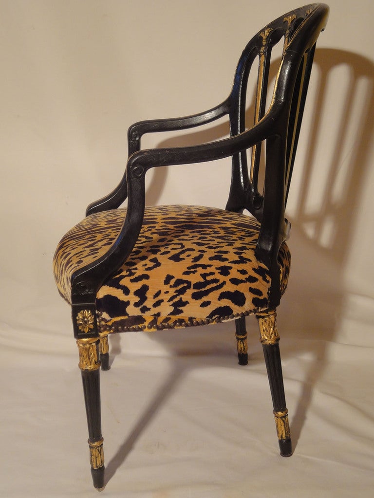 A Pair of Black & Gilt Sheraton Style Armchairs originally purchased by Billy Baldwin for a Texas project. The black lacquer & gilt Sheraton style armchairs are in original condition, however, the tiger velvet on the seats is recent. The proportions