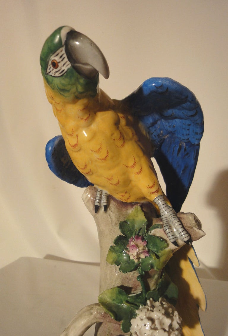 Pair of Modern German Porcelain Parrots In Good Condition In Dallas, TX