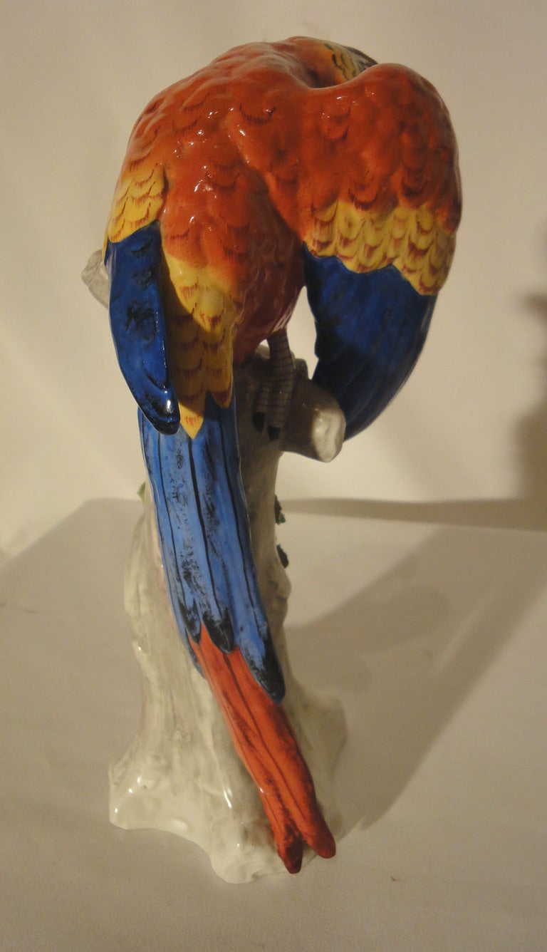 Pair of Modern German Porcelain Parrots 2