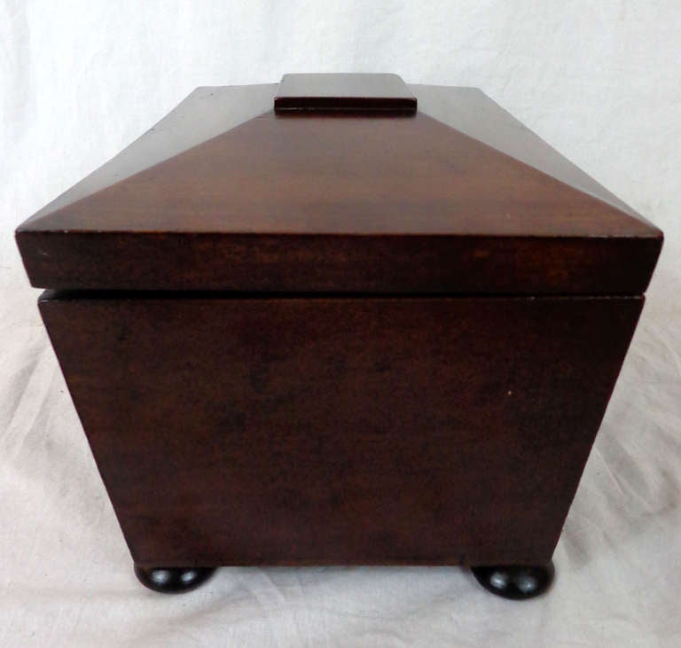 19th Century English Tea Caddy 3