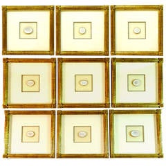 Collection of Nine Museum Quality Framed Intaglios