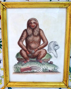 Set of Five 20th Century English Prints of Monkeys in Eglomise Frames