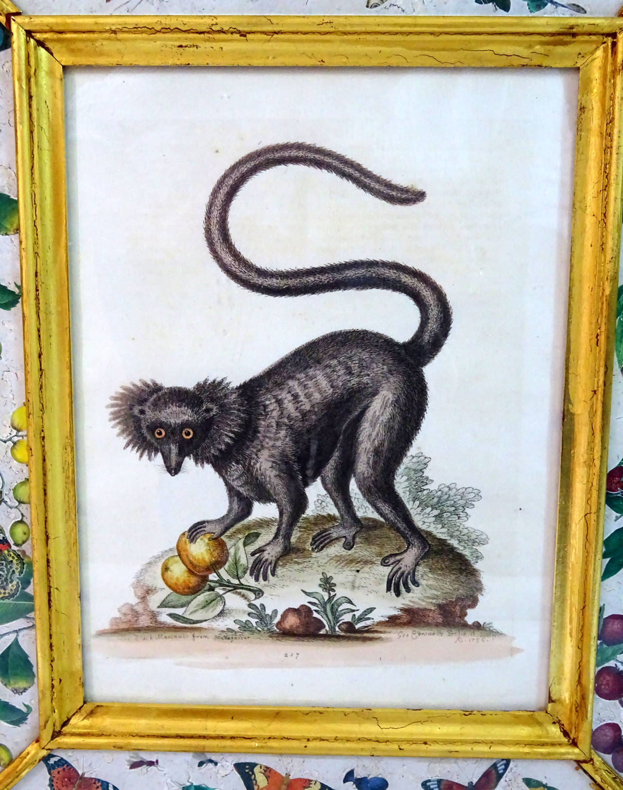 Set of Five 20th Century English Prints of Monkeys in Eglomise Frames 2