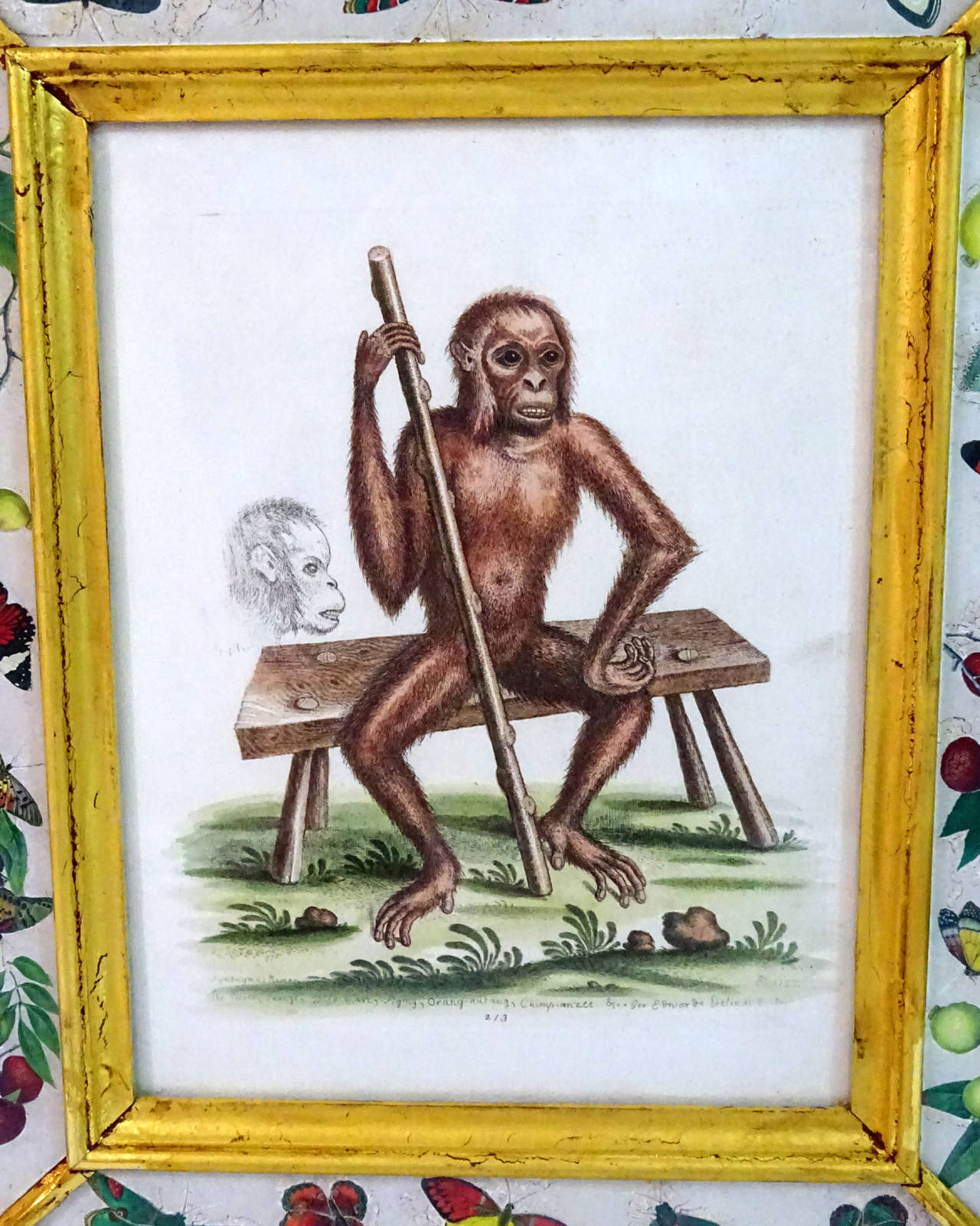 Set of Five 20th Century English Prints of Monkeys in Eglomise Frames 3