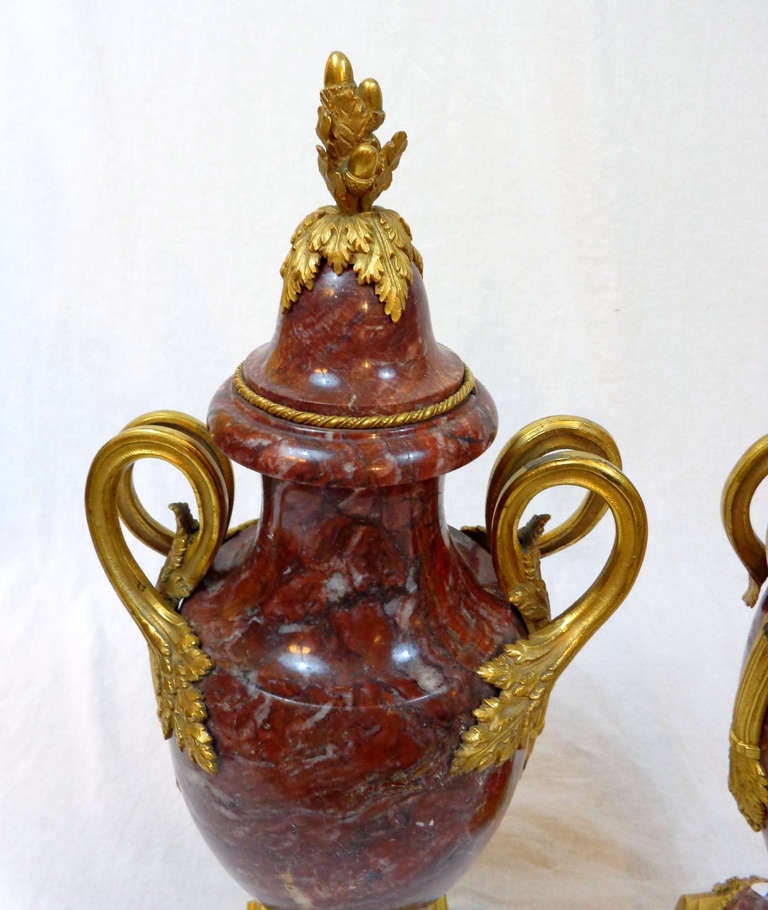 A Pair of Louis XVI Style Rouge Marble Urns with Bronze Doré Mounts.