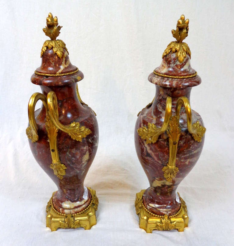 Pair of 19th c. Louis XVI Style Marble Urns with Bronze Doré Mounts For Sale 1