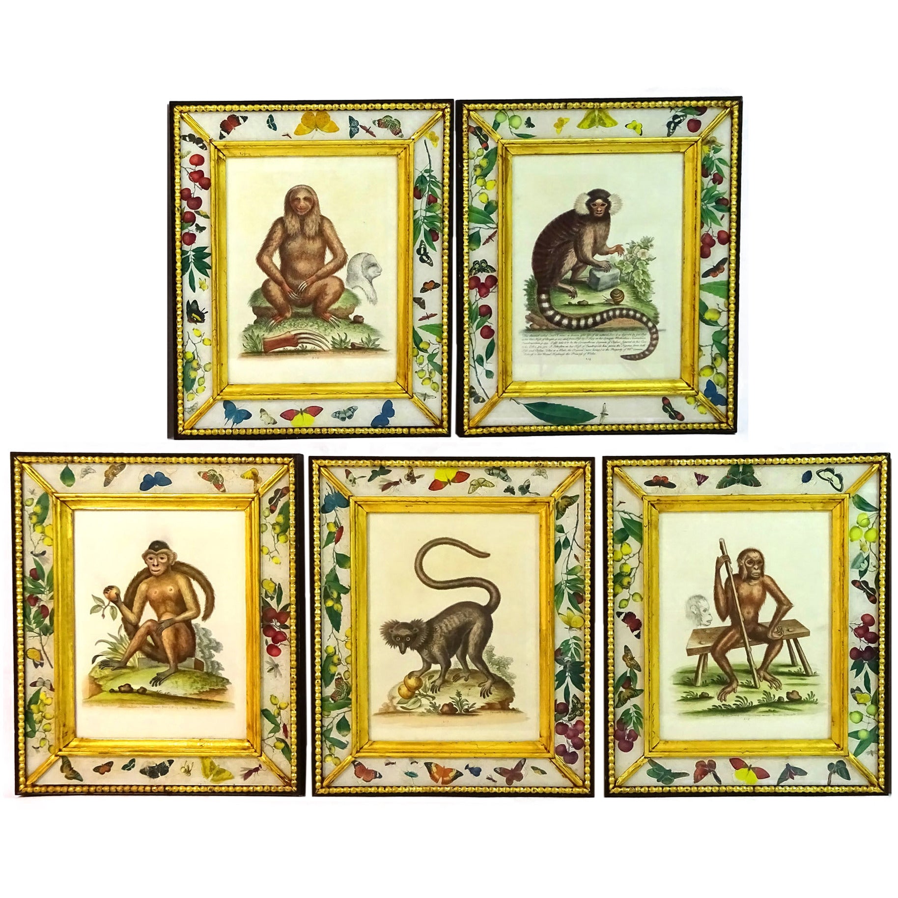 Set of Five 20th Century English Prints of Monkeys in Eglomise Frames