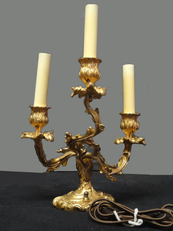 Pair of Three-Light Louis XV Style Bronze Doré Candelabras now as Lamps. Note the elegant curve of each arm that springs from a shaped trunk rising from an almost fluid base.