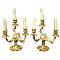 Pair of Louis XV Style Candelabras now as Lamps
