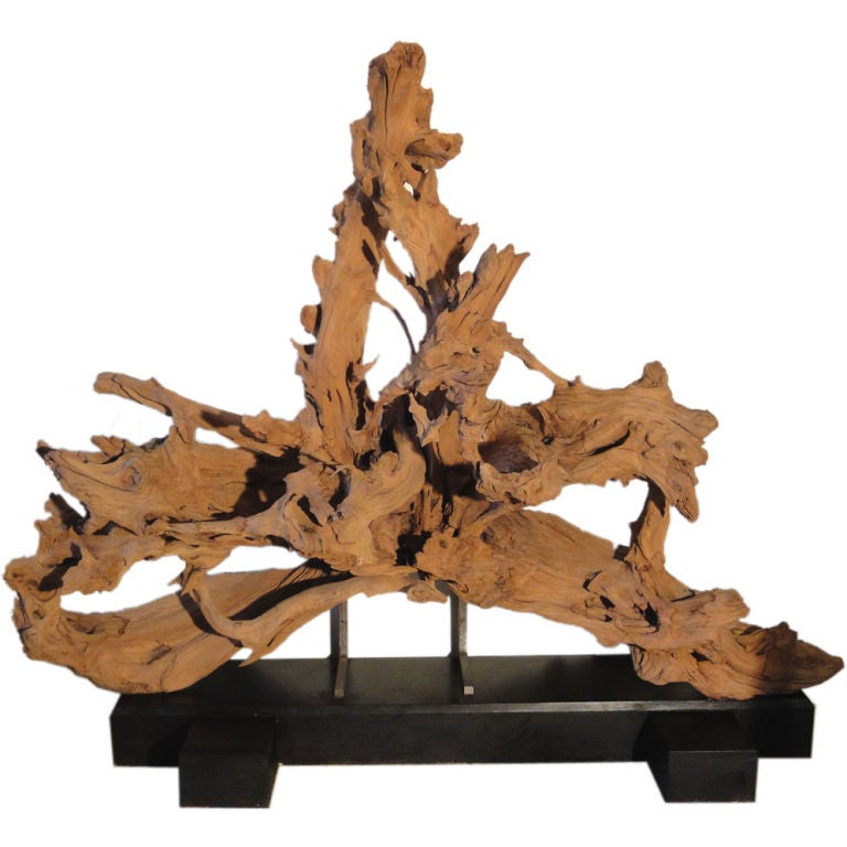 Beautifully Formed Root Mounted on Stand For Sale