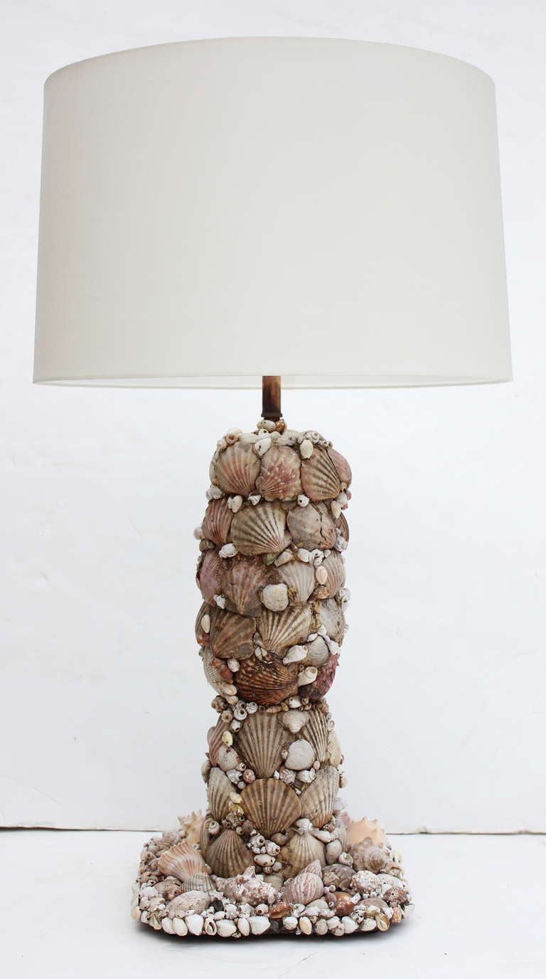 Contemporary Shell Lamp