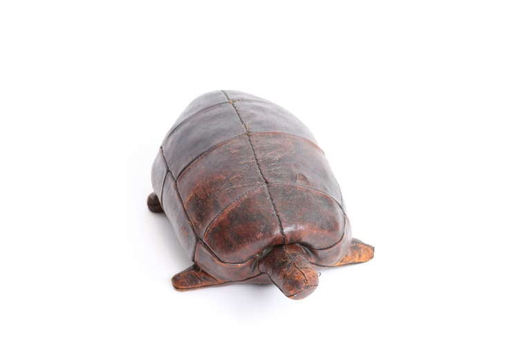 omersa turtle