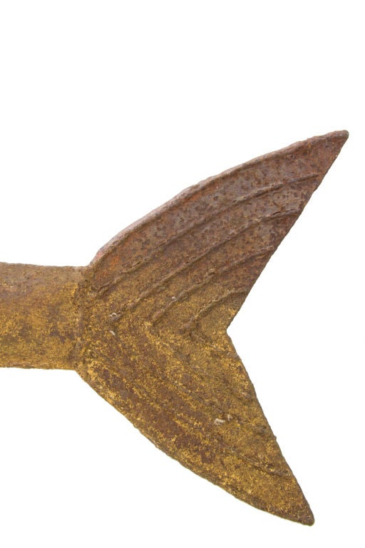 Cod Fish Weathervane For Sale at 1stDibs