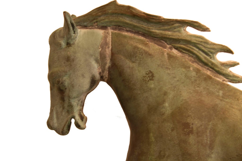 Full bodied, spirited horse with dynamic movement and monumental size.  At 40-1/2