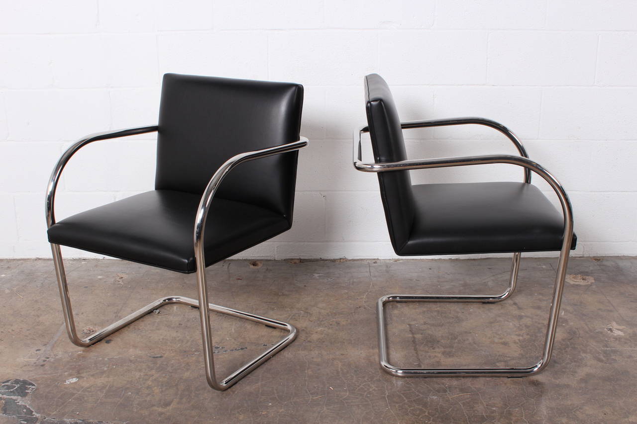 Mid-20th Century Brno Chairs by Mies van der Rohe for Knoll