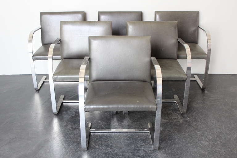 Set of Six Brno Chairs by Mies van der Rohe for Knoll