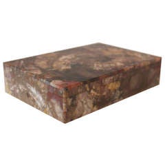 Petrified Wood and Quartz Box