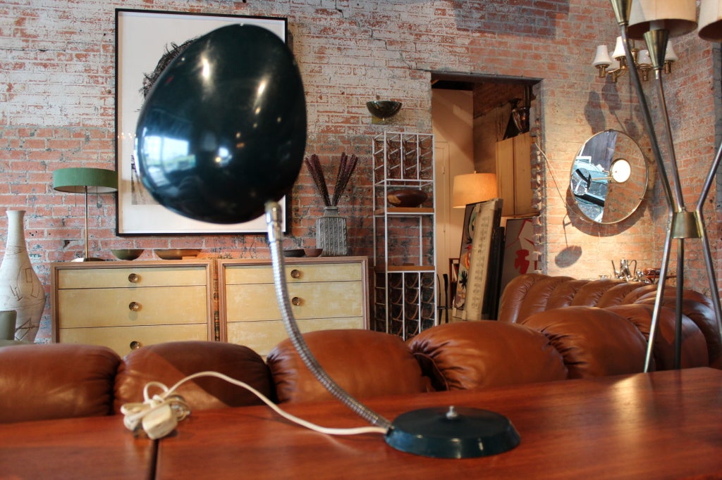 Cobra Lamp by Greta Grossman for Ralph O. Smith 2