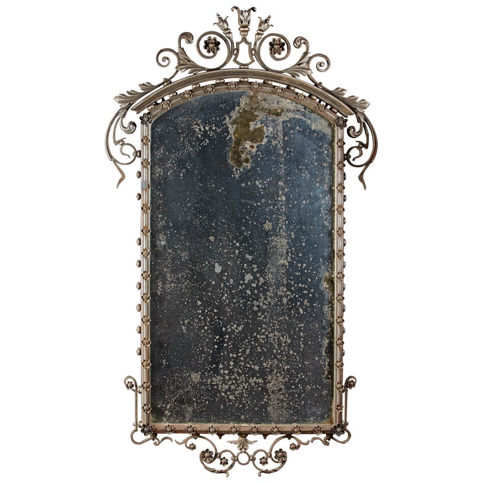 Cast and Forged Steel and Mixed Metal Foliate Border Mirror For Sale