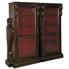 Pair of 19th Century Classical Revival Bookcases 9