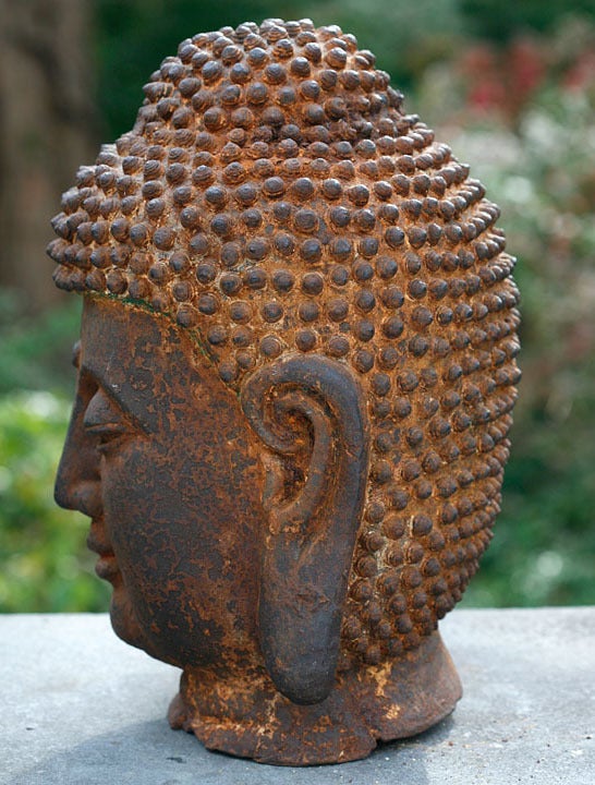 snail on buddha head
