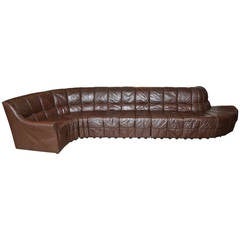 18 Sections Never Ending Leather Sofa from Switzerland