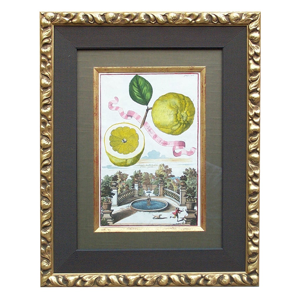 Botanicals:  Lemons For Sale