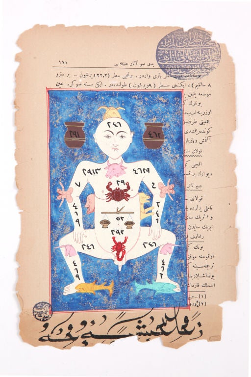 Phenomenal Turkish Anatomical Prints In Excellent Condition In Phoenix, AZ