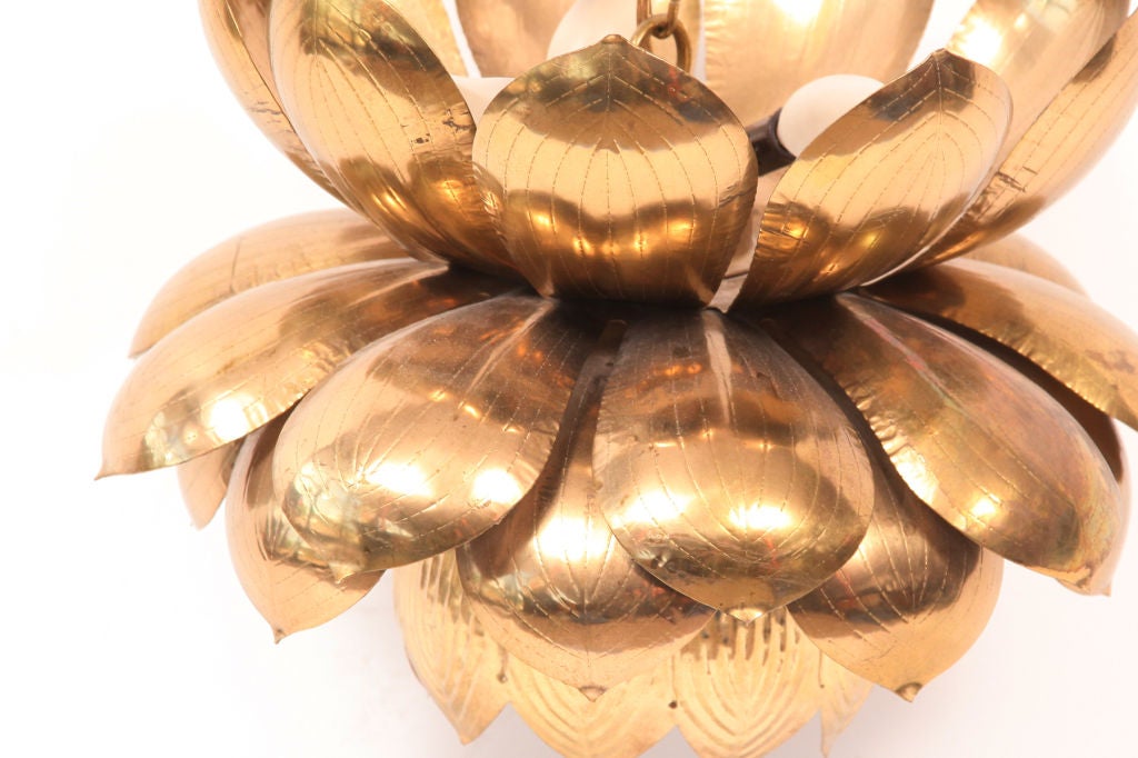 American Three Brass Lotus Lamp Chandelier