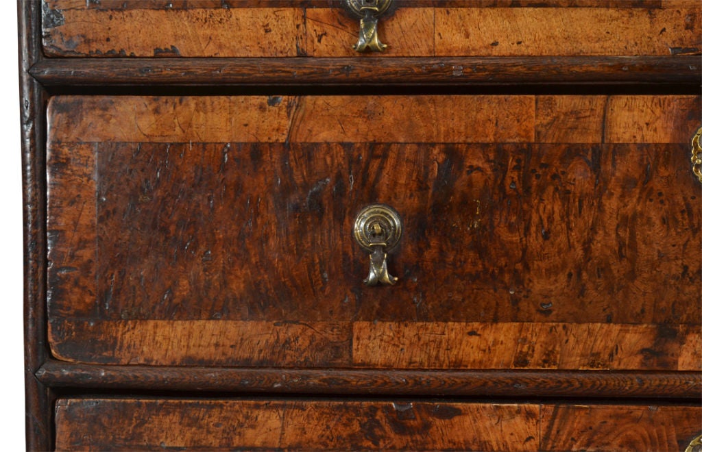 A Burr Oak Veneered Chest of Drawers