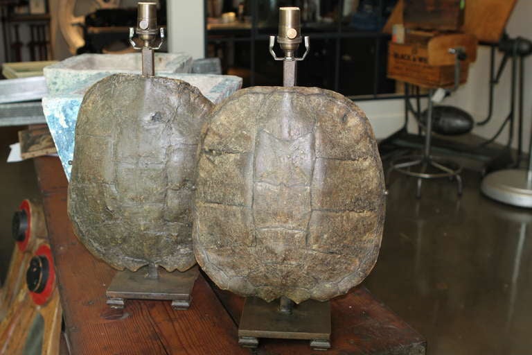 Pair Of Old Tortoise Shell Lamp Bases In Good Condition In Newport Coast, CA