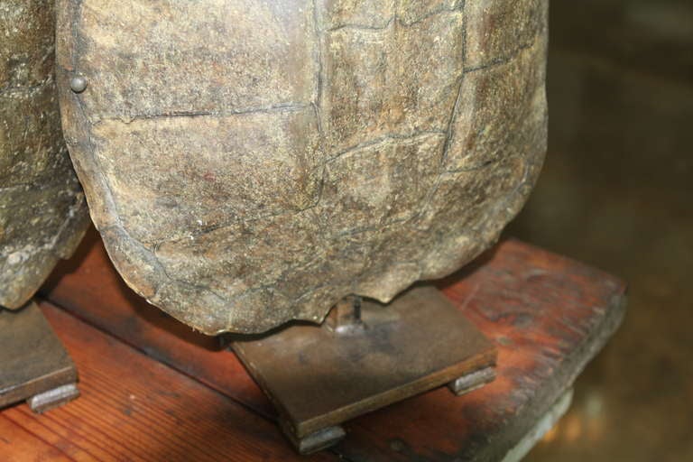Metal Pair Of Old Tortoise Shell Lamp Bases
