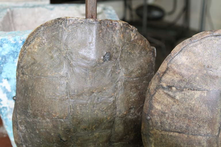 Pair Of Old Tortoise Shell Lamp Bases 1
