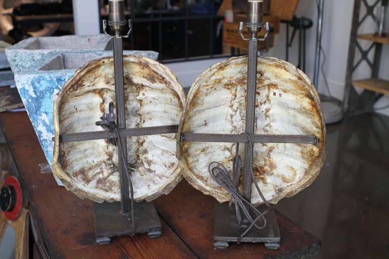 Pair Of Old Tortoise Shell Lamp Bases 4