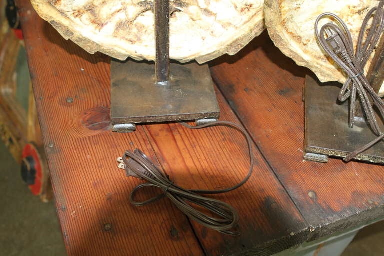 Pair Of Old Tortoise Shell Lamp Bases 5