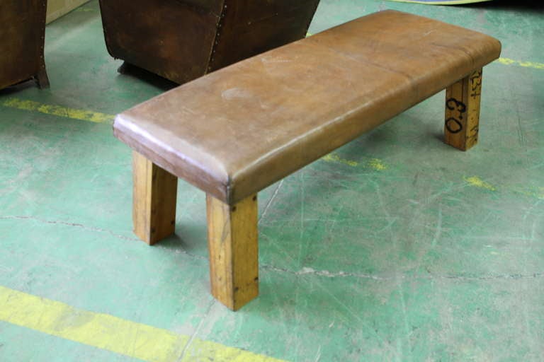 Vintage 1940's French pommel horse.  Makes a great coffee table.