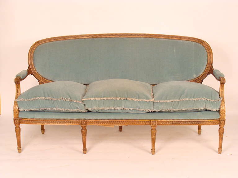 Louis XVI style carved beech wood sofa, circa 1920. This very comfortable sofa has wonderful neoclassical lines, a guilloche carved oval back , acanthus carved arms, guilloche carved apron and acanthus carved tapered and fluted legs. Most likely